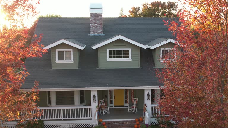 Best Steel Roofing  in Wamac, IL