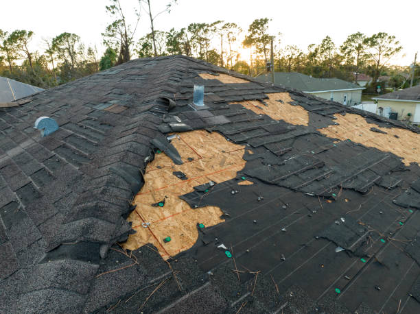 Best Solar Panel Roofing Installation  in Wamac, IL